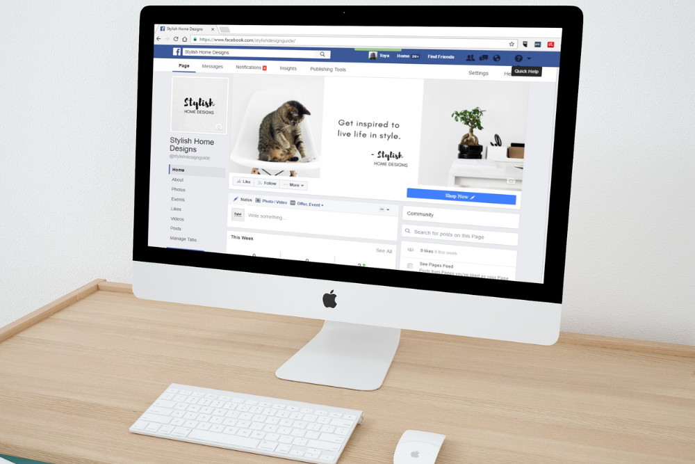 Instagram and Facebook Selling