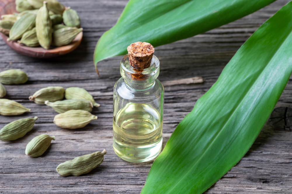 Cardamom Essential Oil