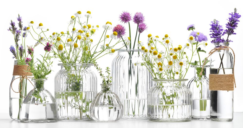 Understand What Makes Your Essential Oil Products Unique